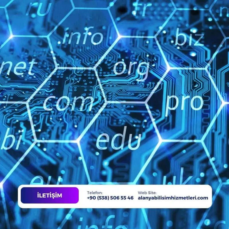 Alanya Domain ve Hosting Paketleri