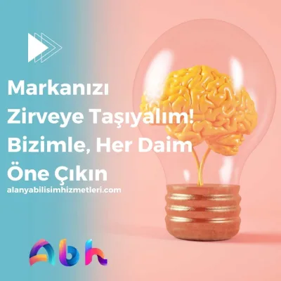 Alanya web sitesi kurulumu