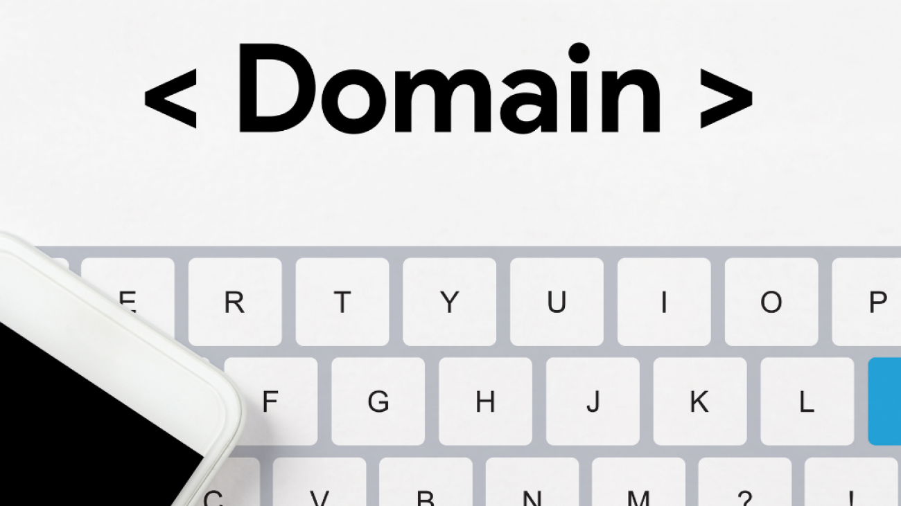 Domain & Hosting Kayıtları