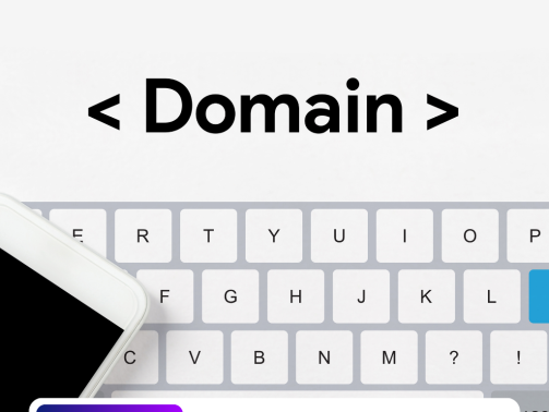 Domain & Hosting Kayıtları