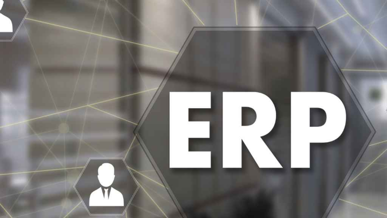 Alanya ERP bağlantısı