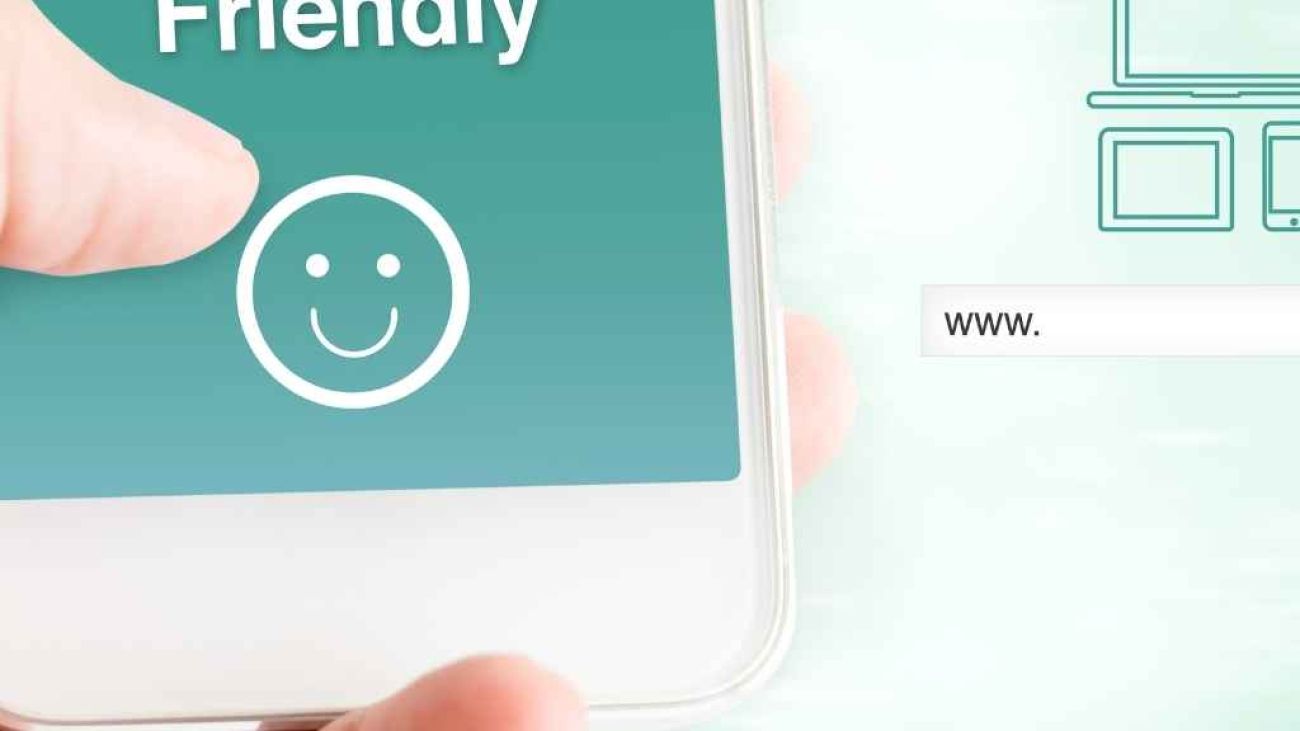 Alanya Mobil Uyumlu Web