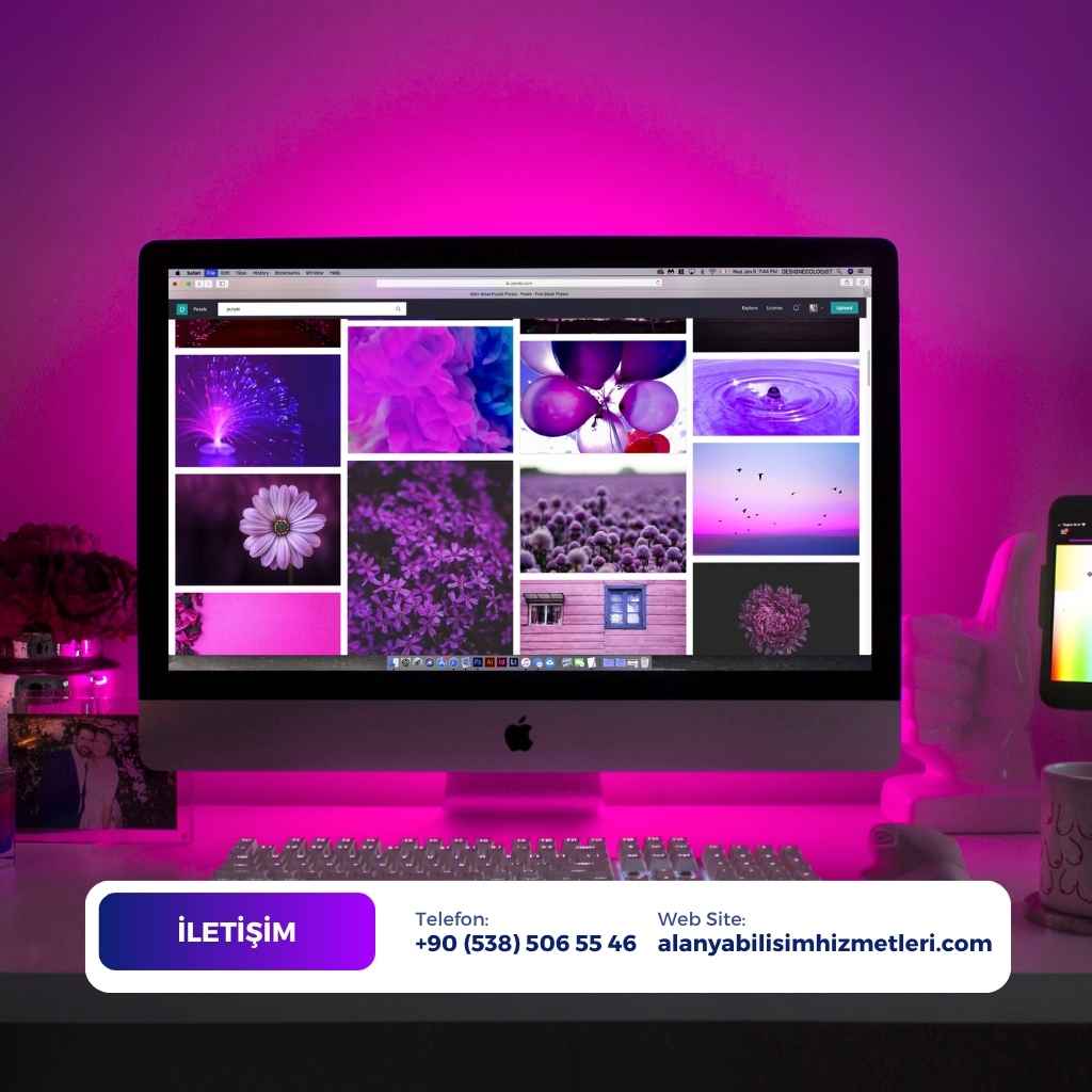 Alanya Web Tasarımı
