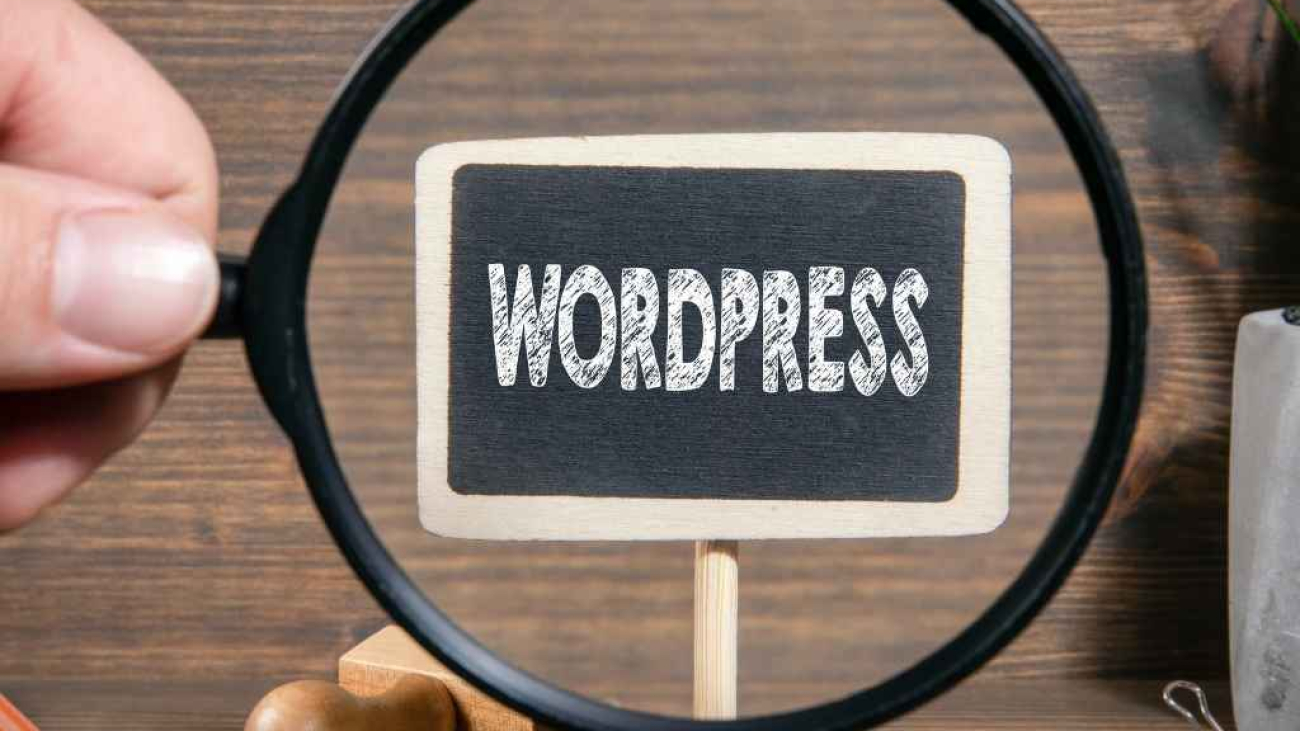 Alanya WordPress Tasarım