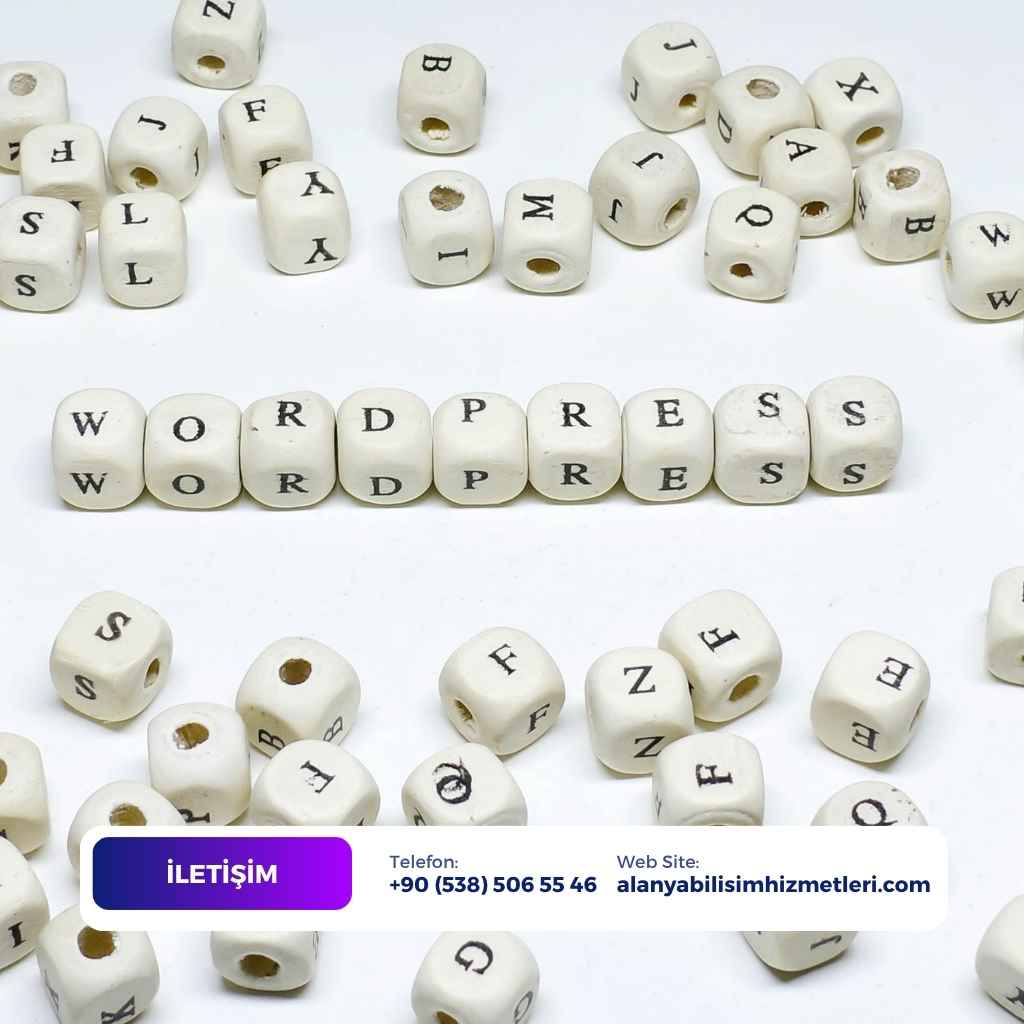 Alanya WordPress bakımı