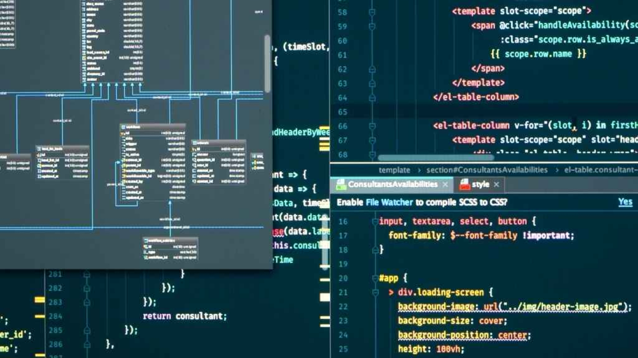 Alanya özel yazılım firması