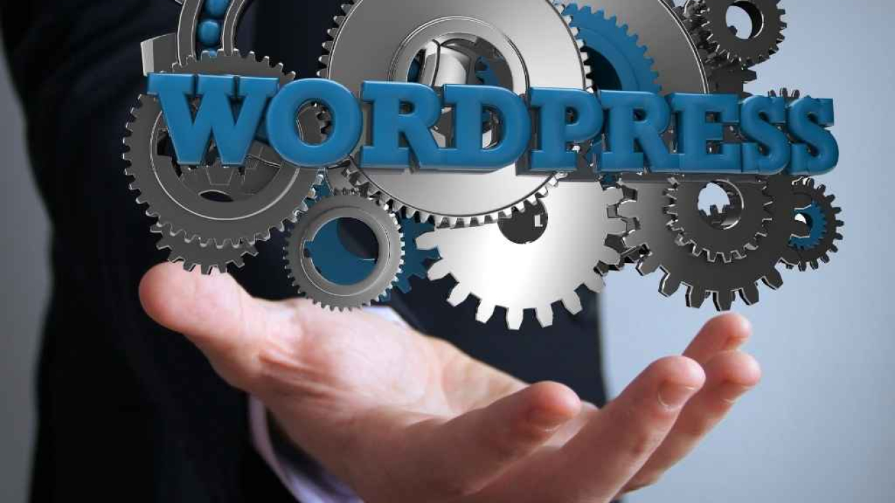 WordPress Tasarım Alanya