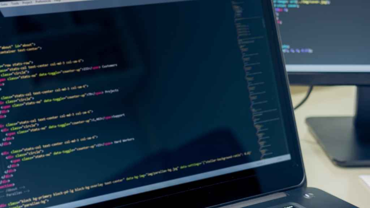 alanya web sitesi bakımı