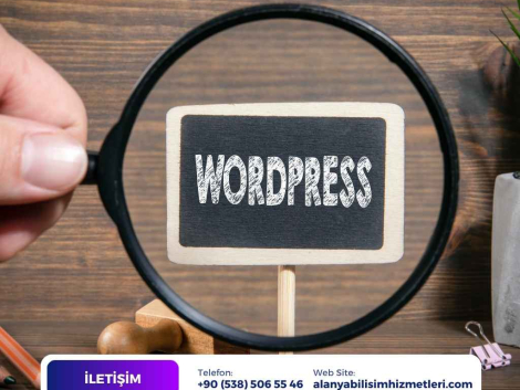 alanya kurumsal web sitesi