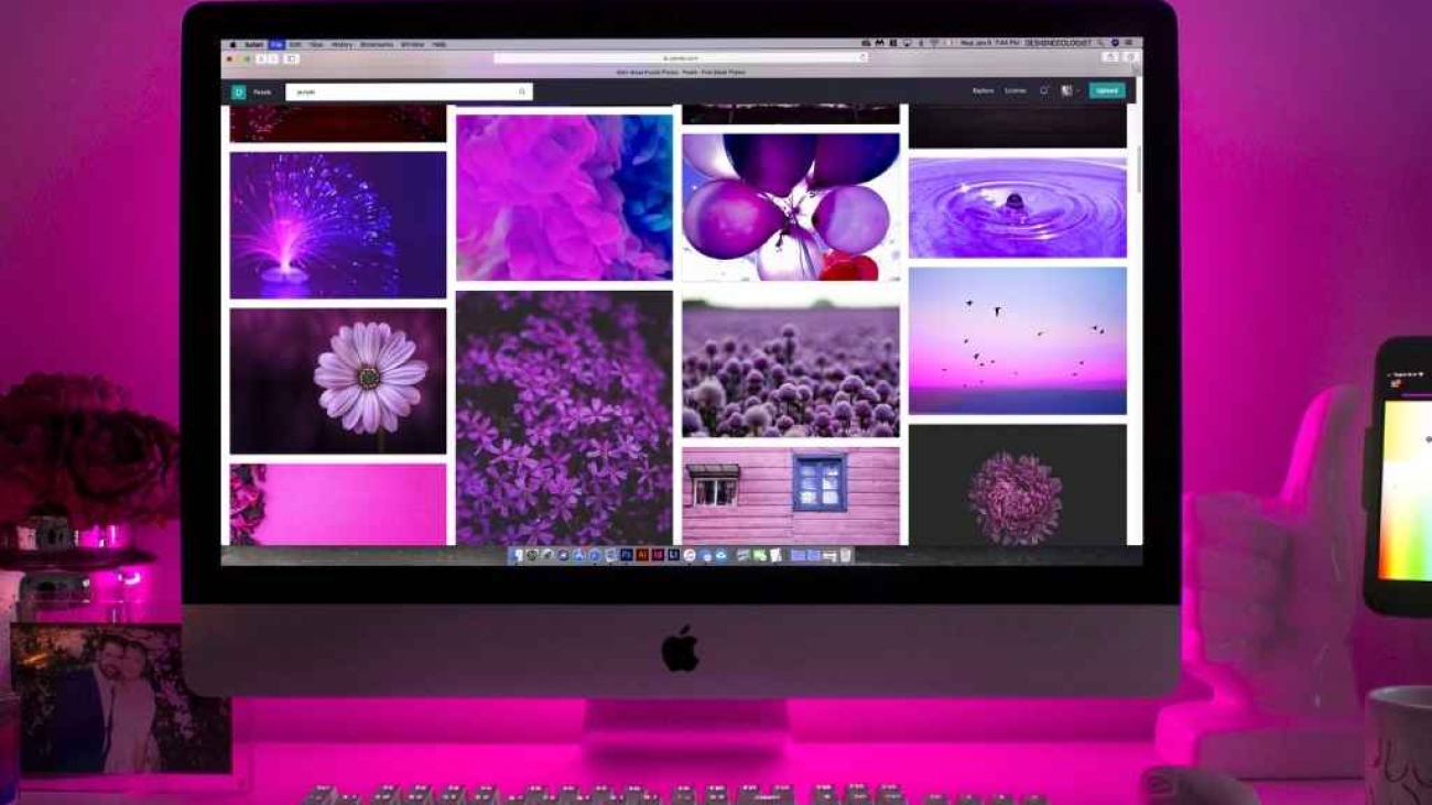 alanya web tasarım fiyatları